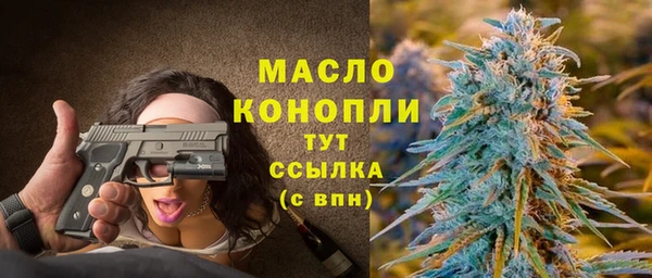 индика Вязники